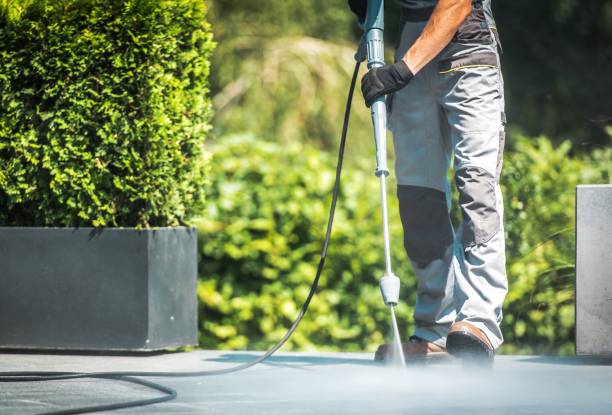 Best Graffiti Removal  in Cloverleaf, TX