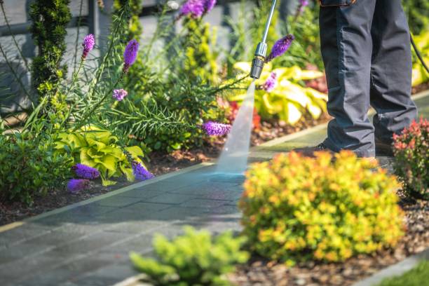 Professional Pressure Washing Services in Cloverleaf, TX